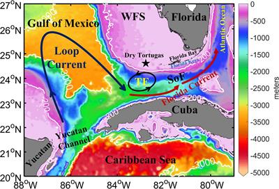 Physical Characteristics and Evolution of a Long-Lasting Mesoscale Cyclonic Eddy in the Straits of Florida